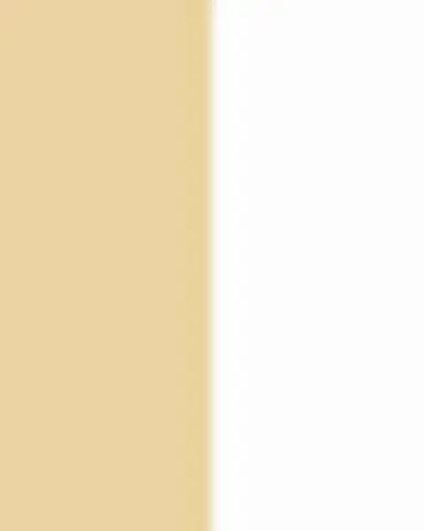 Dara Kaye Serpent Lariat Necklace | Thumbnail 3 Dara Kaye Serpent Lariat Necklace | Thumbnail 3