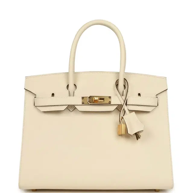 HERMÈS Hermes Birkin Sellier 30 Nata Epsom Gold Hardware