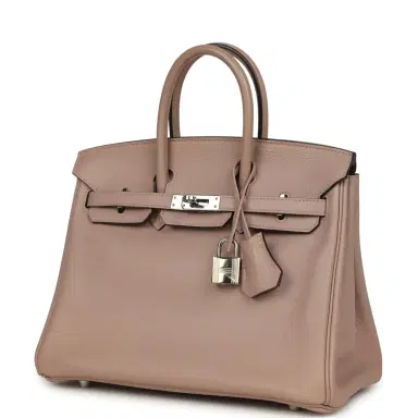 HERMÈS Pre-owned Hermes Birkin 25 Glycine Evercolor Palladium Hardware | Thumbnail 5