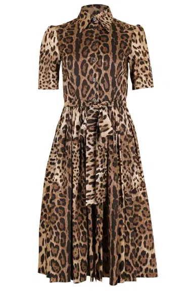 Dolce & Gabbana Leo Dress | Thumbnail 1 Dolce & Gabbana Leo Dress | Thumbnail 1