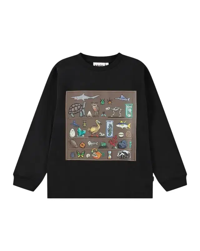 Molo Boy 's Rube Graphic-Print Organic Cotton T-Shirt, Size 2-7