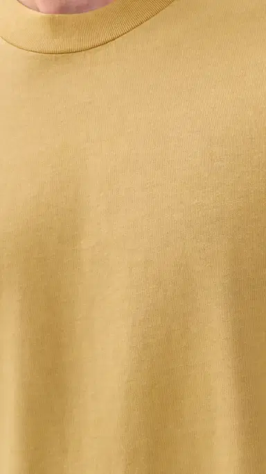 Madewell The Vintage Tee | Thumbnail 6