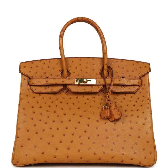 HERMÈS Pre-owned Hermes Birkin 35 Cognac Ostrich Gold Hardware