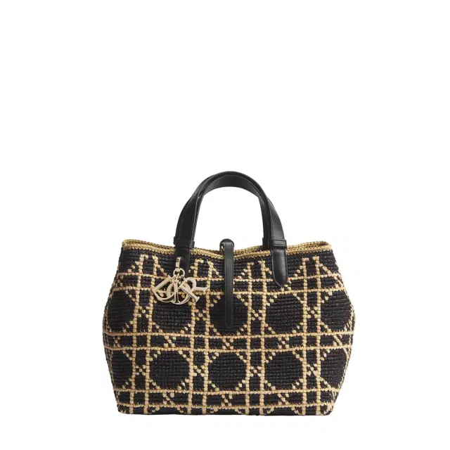 Dior Medium Dior Toujours Bag
