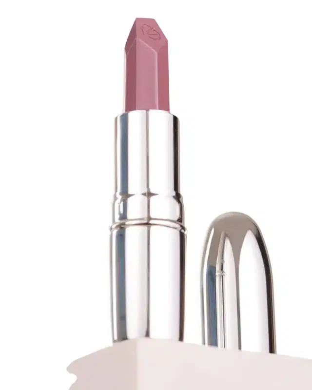 Nude Envie Berry Nudes Lipstick