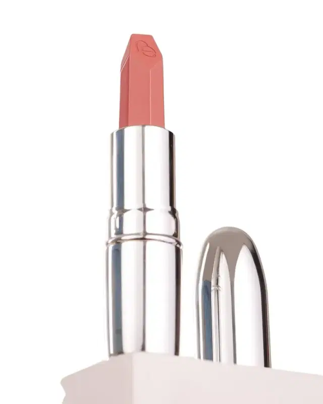 Nude Envie Berry Nudes Lipstick