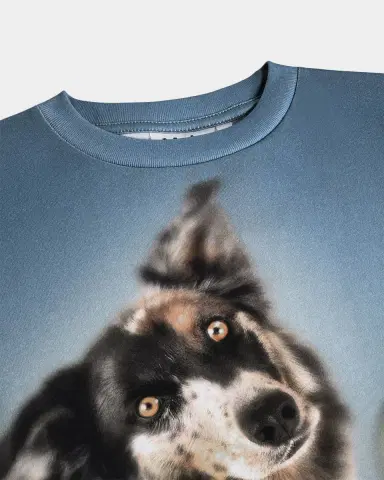 Molo Boy 's Riley Doggy Duo Short-Sleeve T-Shirt, Size 3-7 | Thumbnail 3 Molo Boy 's Riley Doggy Duo Short-Sleeve T-Shirt, Size 3-7 | Thumbnail 3