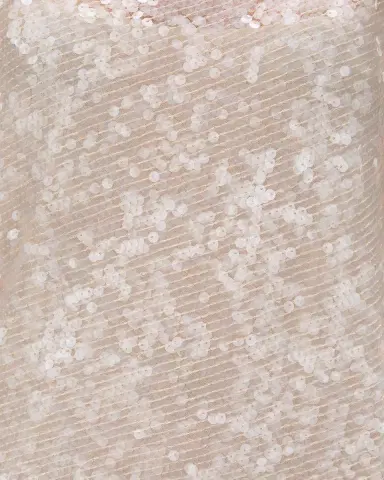 RACHEL GILBERT Marlow Sleeveless Sheer Sequined Gown | Thumbnail 4 RACHEL GILBERT Marlow Sleeveless Sheer Sequined Gown | Thumbnail 4