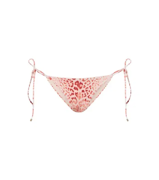 Roberto Cavalli Leopard-print bikini bottoms