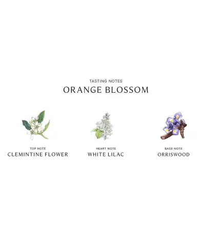 Jo Malone London Orange Blossom Body & Hand Lotion, 250ml | Thumbnail 3 Jo Malone London Orange Blossom Body & Hand Lotion, 250ml | Thumbnail 3