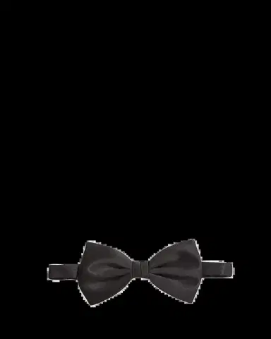 Brioni 8cm Satin Pre-Tied Bow Tie | Thumbnail 2
