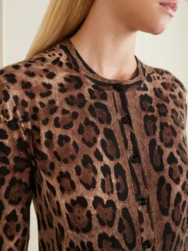 Dolce & Gabbana Leopard-print Wool-blend Cardigan | Thumbnail 5 Dolce & Gabbana Leopard-print Wool-blend Cardigan | Thumbnail 5