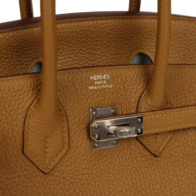 HERMÈS Hermes Birkin 25 Bronze Dore Verso Togo Palladium Hardware | Thumbnail 7