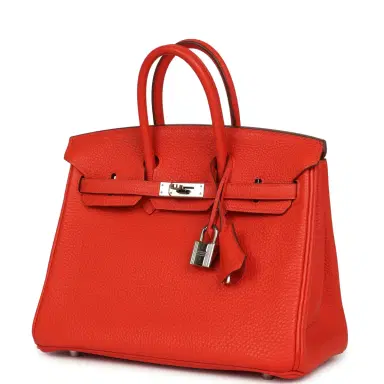 HERMÈS Pre-owned Hermes Birkin 25 Capucine Togo Palladium Hardware | Thumbnail 5