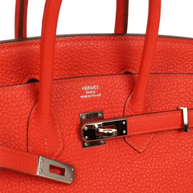 HERMÈS Pre-owned Hermes Birkin 25 Capucine Togo Palladium Hardware | Thumbnail 7