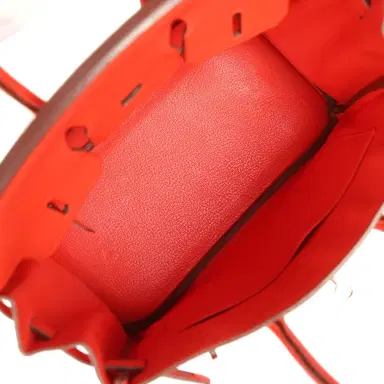 HERMÈS Pre-owned Hermes Birkin 25 Capucine Togo Palladium Hardware | Thumbnail 8
