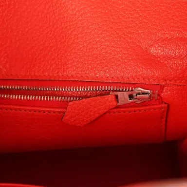 HERMÈS Pre-owned Hermes Birkin 25 Capucine Togo Palladium Hardware | Thumbnail 9