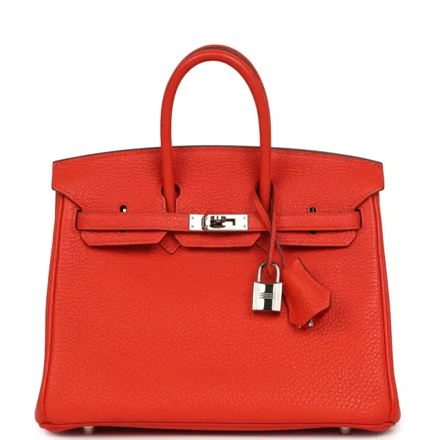 HERMÈS Pre-owned Hermes Birkin 25 Capucine Togo Palladium Hardware