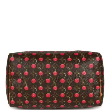 Louis Vuitton Vintage Louis Vuitton x Takashi Murkami Cheries Speedy 25 Brown and Red Cherry Monogram Gold Hardware | Thumbnail 7
