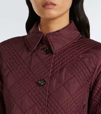 Burberry Fernleigh leather-trimmed quilted jacket | Thumbnail 5