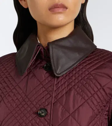 Burberry Fernleigh leather-trimmed quilted jacket | Thumbnail 8
