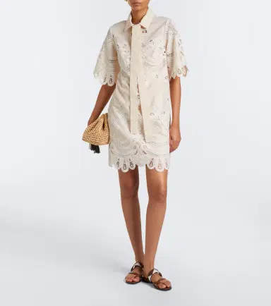 Elie Saab Embroidered minidress | Thumbnail 5