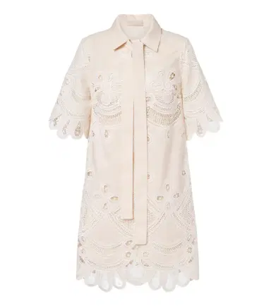 Elie Saab Embroidered minidress | Thumbnail 1