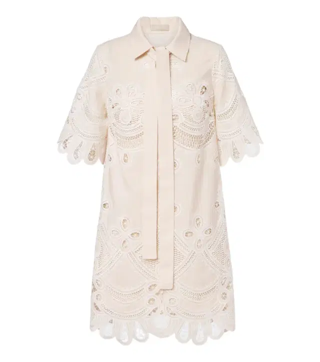 Elie Saab Embroidered minidress