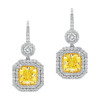 DIANA M. JEWELS Diana M. Jewels 18K Yellow Gold Diamond Double Drop Earrings by The Solist | Thumbnail 1