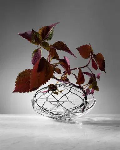 Orrefors Bloom Vase | Thumbnail 4
