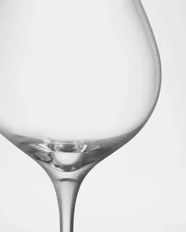 Orrefors More Pinot Glasses, Set of 4 | Thumbnail 3