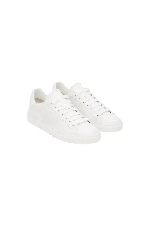 Roberto Cavalli White Low Top Sneakers