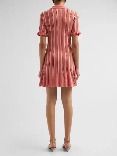 Cinq à Sept Women's Keaton Striped Knit Polo Mini Dress - Dried Rosehip | Thumbnail 3
