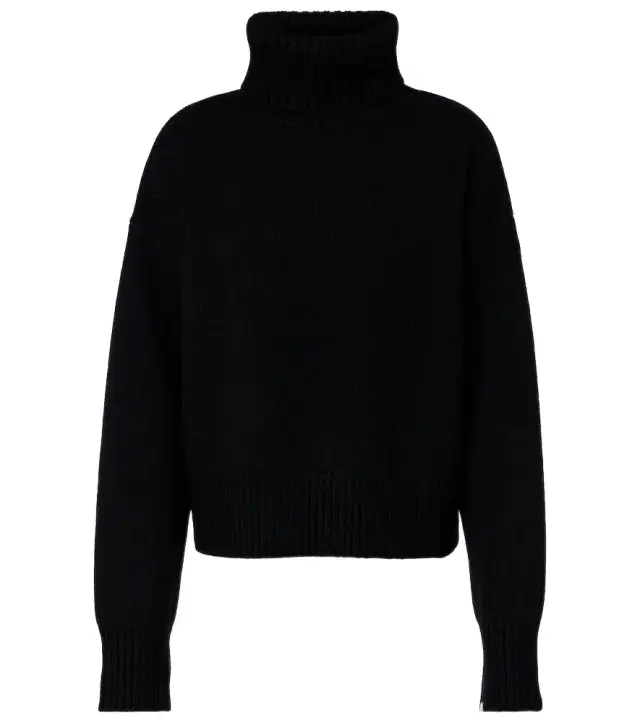Extreme Cashmere N°434 cashmere turtleneck sweater