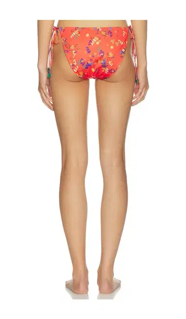 SIEDRES Vicky Bikini Bottom | Thumbnail 3