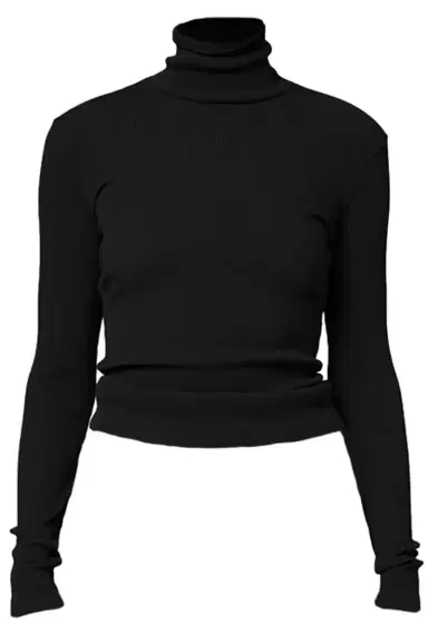 Citizens of Humanity Caradene Turtleneck | Thumbnail 1 Citizens of Humanity Caradene Turtleneck | Thumbnail 1
