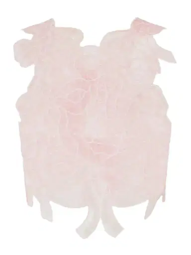 Cecilie Bahnsen Aya Embroidered Crinkled Organza Top | Thumbnail 1 Cecilie Bahnsen Aya Embroidered Crinkled Organza Top | Thumbnail 1