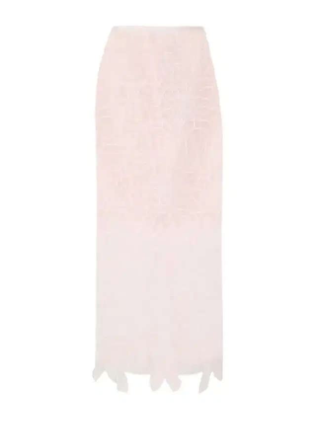 Cbgus Embroidered Organza Maxi Skirt
