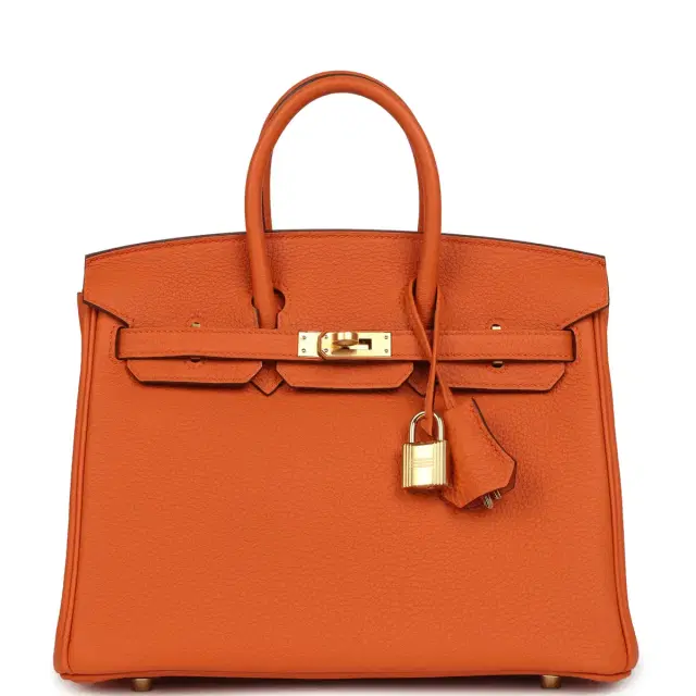 HERMÈS Hermes Birkin 25 Orange Togo Gold Hardware