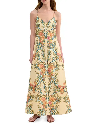Rebecca Taylor Women's Cleo Printed Linen-Blend A-Line Maxi Dress - Butter Cream Multi | Thumbnail 2