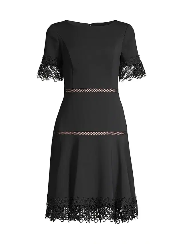 Shani Women's Lace-Trimmed Crepe Dress - Black