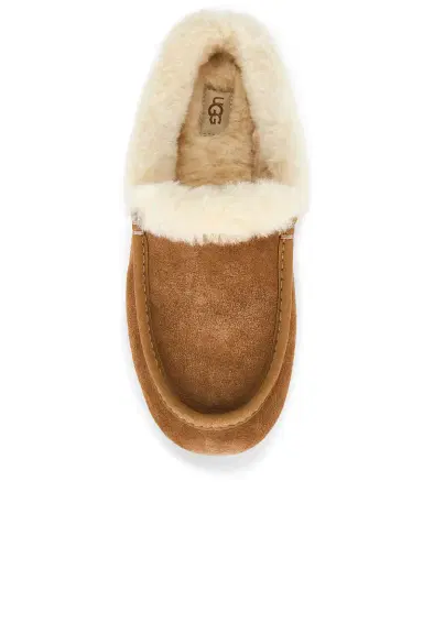 UGG Ansley Mule Slipper | Thumbnail 4 UGG Ansley Mule Slipper | Thumbnail 4