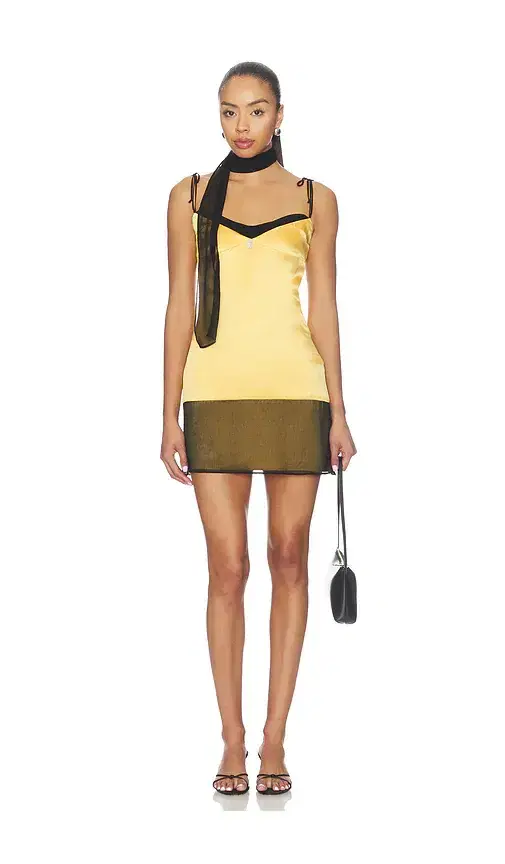 Chinchilla Mini Dress