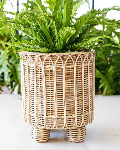 Juliska Provence Rattan 8" Round Planter | Thumbnail 4