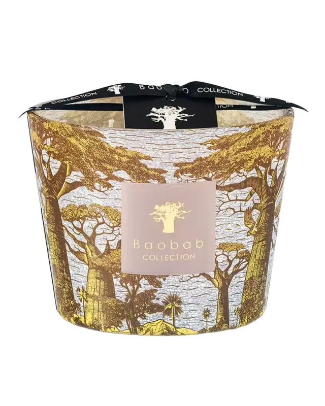 Baobab Collection Sacred Trees Bounkani 4-Wick Max 10 Candle, 1.3 kg