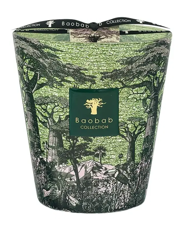 Baobab Collection Sacred Trees Touba 4-Wick Max 16 Candle, 2.3 kg