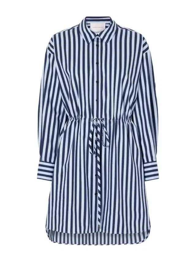 Carolina Herrera Striped Cotton-blend Poplin Mini Dress