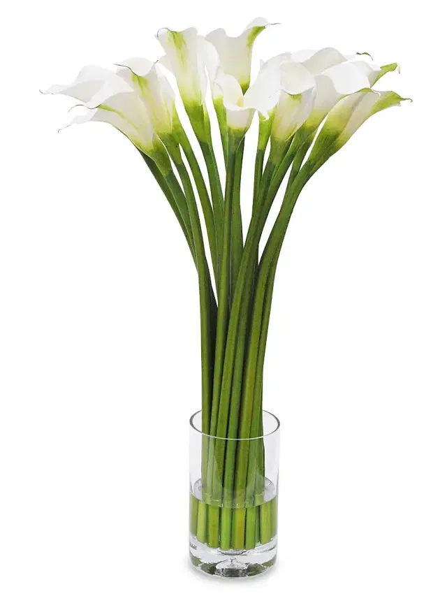 Winward Home Everyday Floral Imitation Calla Lily In Glass Vase