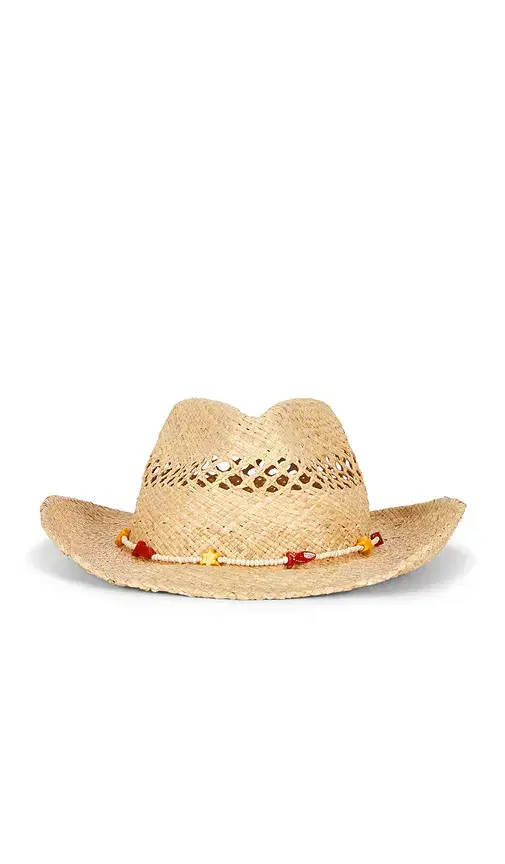 The Desert Cowboy