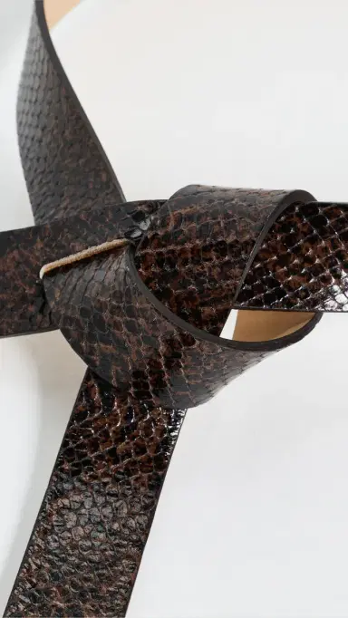 Isabel Marant Lecce Belt Mocha | Thumbnail 5